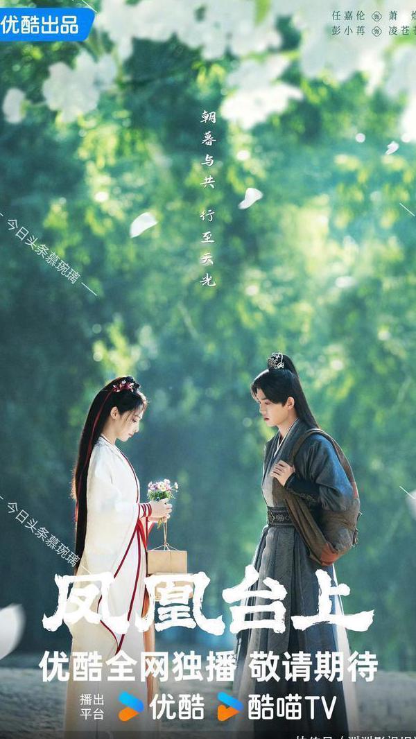 在国外看视频版权限制怎么办教程