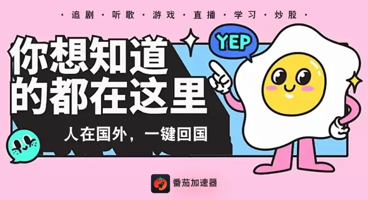 全局回国vpn教程